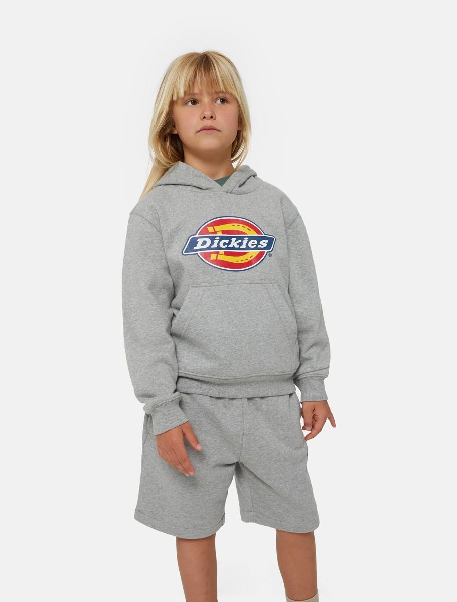 FELPA  DICKIES YOUTH LOGO DK0KWR270H21 GREY